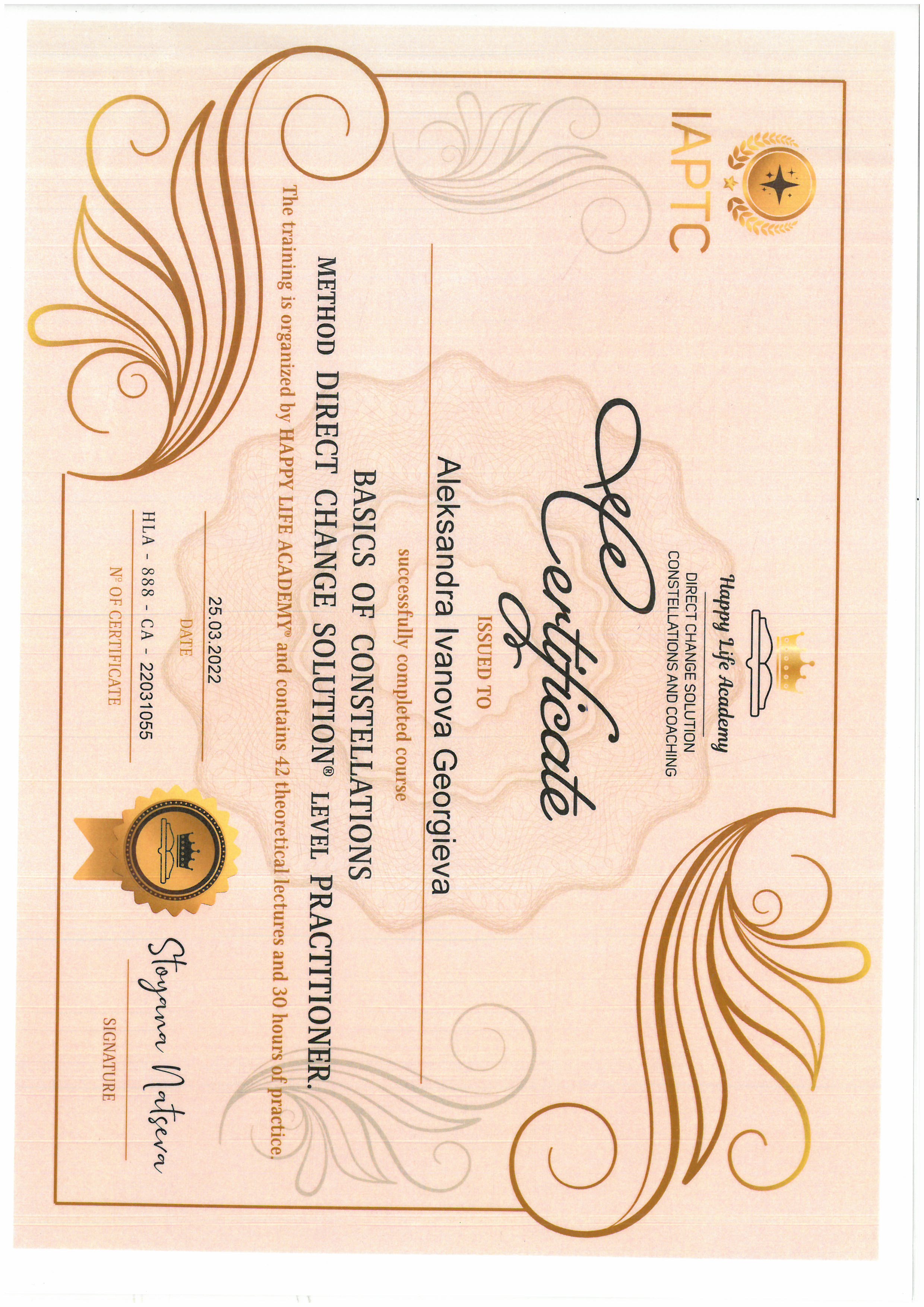 Constellations Practitioner certificate