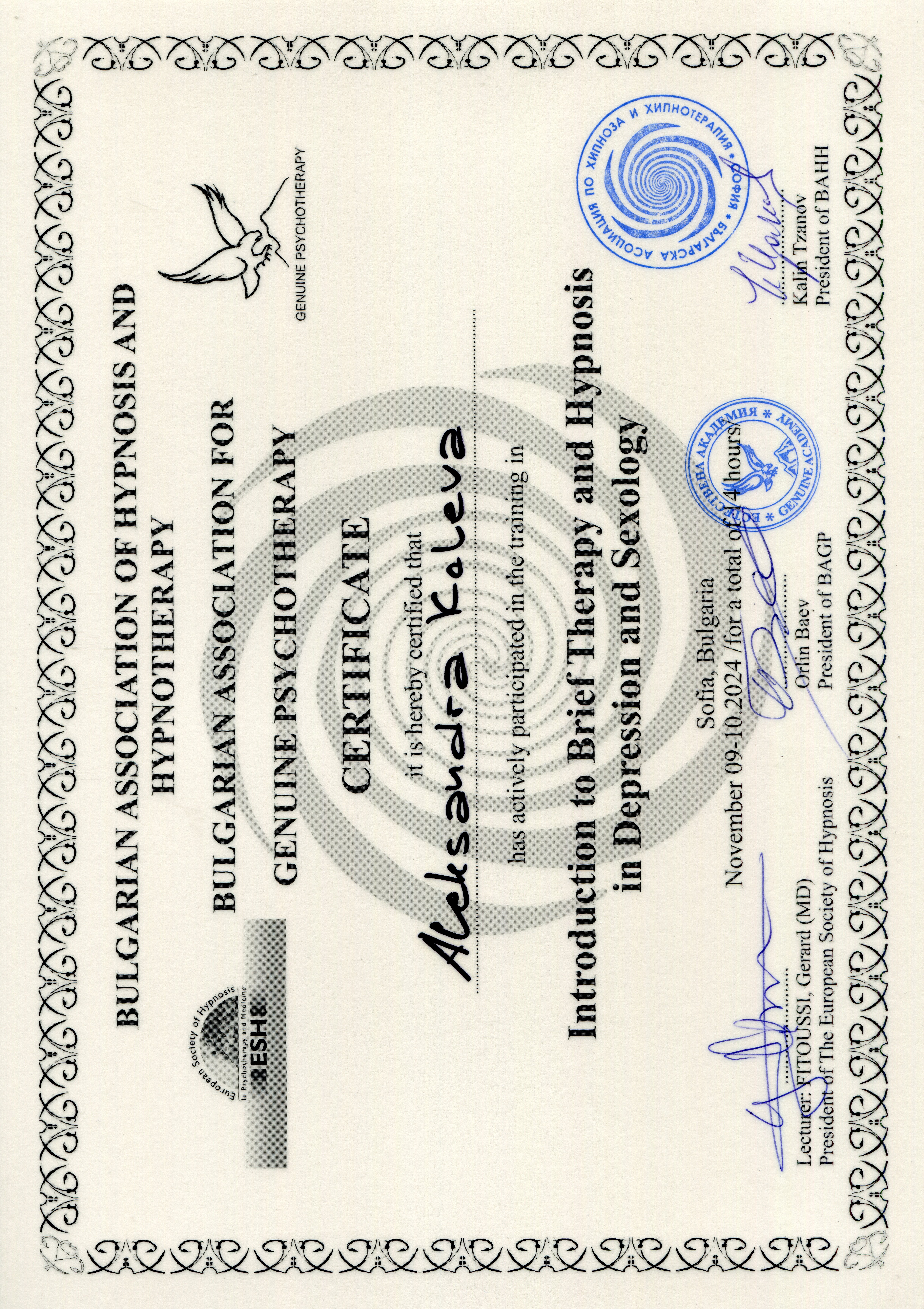 Сертификат — кратка терапия и хипноза